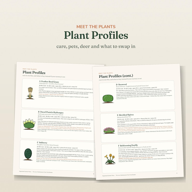 May include: Two pages of a document titled Plant Profiles with the subtitle care, pets, deer and what to swap in. The pages contain six illustrated sections labeled A through F, each featuring a plant drawing and detailed text descriptions.
