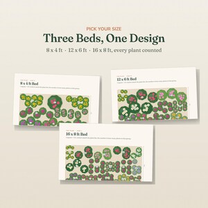 May include: Three garden bed layout plans titled Three Beds, One Design with sizes 8x4 ft, 12x6 ft, and 16x8 ft. Each plan displays a beige rectangular area with green, pink, yellow, and purple plant icons labeled with numbers for plant counts.