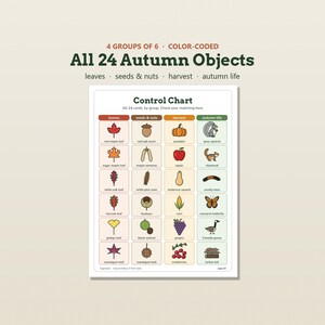 May include: A color-coded control chart titled All 24 Autumn Objects, organized into four groups: leaves, seeds & nuts, harvest, and autumn life. The chart displays 24 illustrated icons of seasonal items with their corresponding names printed below each.