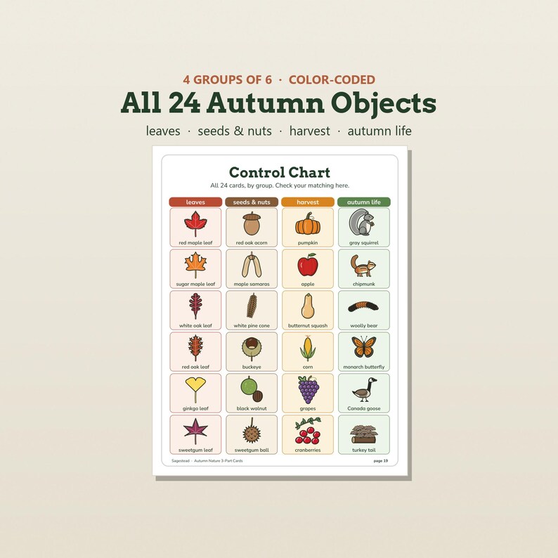 May include: A color-coded control chart titled All 24 Autumn Objects, organized into four groups: leaves, seeds & nuts, harvest, and autumn life. The chart displays 24 illustrated icons of seasonal items with their corresponding names printed below each.