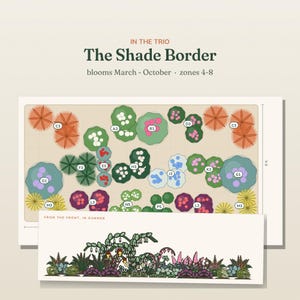 May include: A garden design plan titled The Shade Border, featuring a top-down layout with labeled plant groupings and a front-view illustration labeled From the Front, In Summer. The plan includes text indicating blooms March-October and zones 4-8.