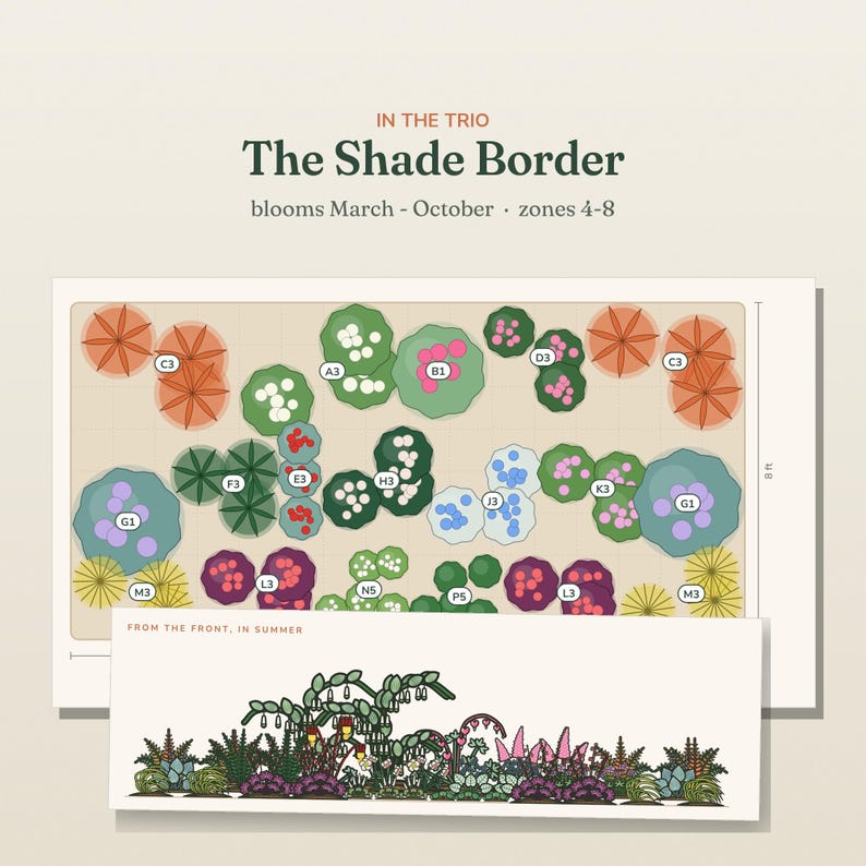 May include: A garden design plan titled The Shade Border, featuring a top-down layout with labeled plant groupings and a front-view illustration labeled From the Front, In Summer. The plan includes text indicating blooms March-October and zones 4-8.