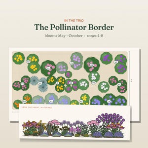 May include: A garden design plan titled The Pollinator Border, showing a top-down layout with plant markers A3 through P3 and a side-view illustration labeled From the Front, In Summer. The plan indicates an 8 ft width, blooming from May to October.