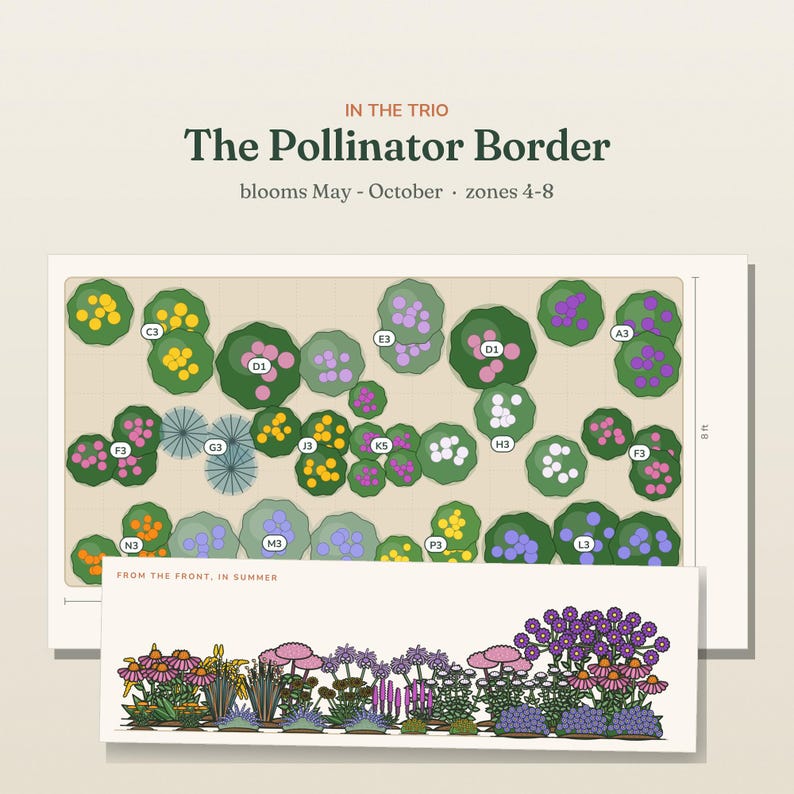 May include: A garden design plan titled The Pollinator Border, showing a top-down layout with plant markers A3 through P3 and a side-view illustration labeled From the Front, In Summer. The plan indicates an 8 ft width, blooming from May to October.