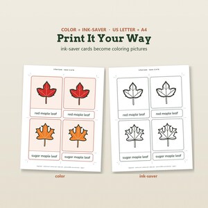 May include: Two printable sheets featuring 3-part cards with leaf illustrations. One sheet shows colored red and sugar maple leaves with labels, while the other displays black and white outlines for coloring. Text includes "Print It Your Way".