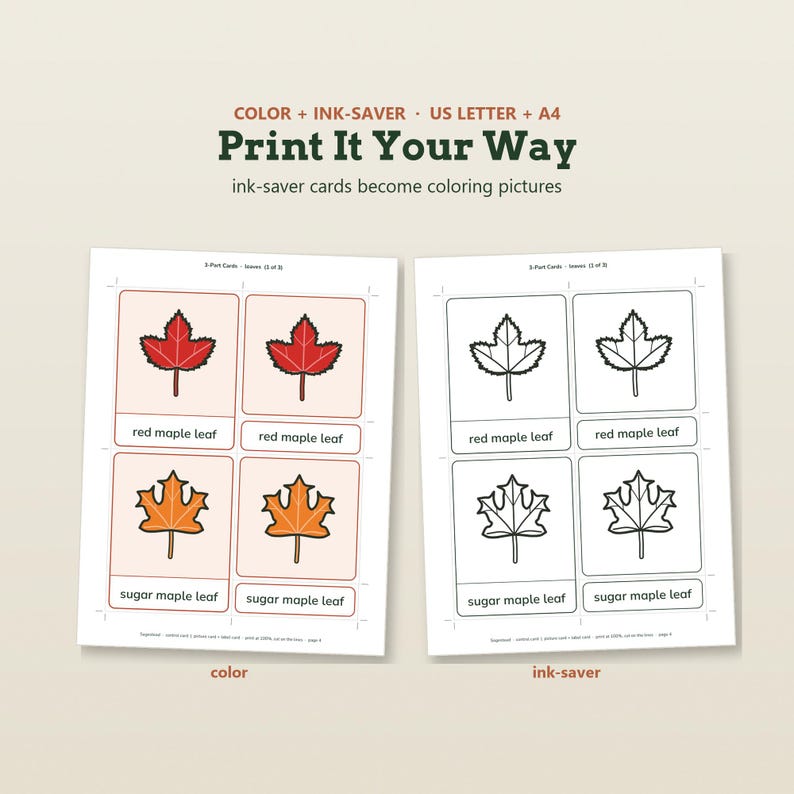 May include: Two printable sheets featuring 3-part cards with leaf illustrations. One sheet shows colored red and sugar maple leaves with labels, while the other displays black and white outlines for coloring. Text includes "Print It Your Way".