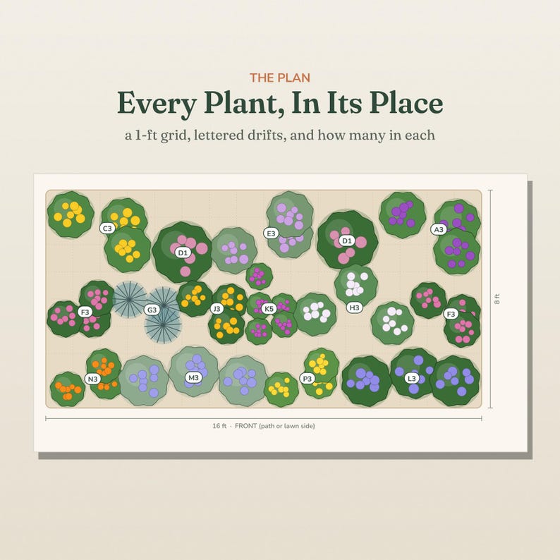 May include: A garden layout diagram titled THE PLAN Every Plant, In Its Place, a 1-ft grid, lettered drifts, and how many in each. The rectangular plot measures 16 ft by 8 ft and features various green plant icons with colored circles.