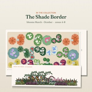 May include: A garden design plan titled The Shade Border, featuring a top-down layout with labeled plant groupings and a side-view illustration labeled From the Front, In Summer. The plan includes text indicating blooms March-October and zones 4-8.