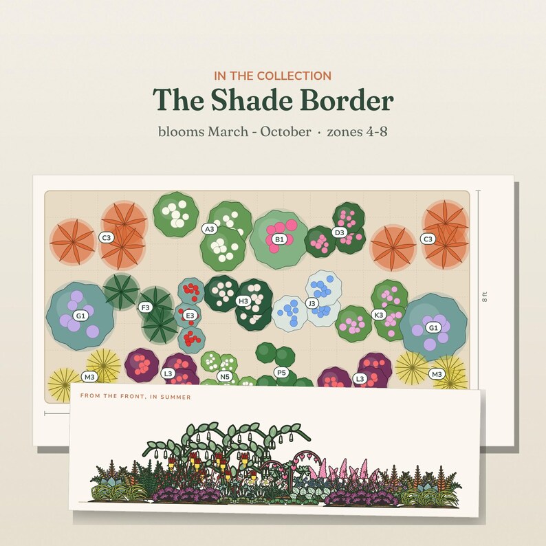 May include: A garden design plan titled The Shade Border, featuring a top-down layout with labeled plant groupings and a side-view illustration labeled From the Front, In Summer. The plan includes text indicating blooms March-October and zones 4-8.