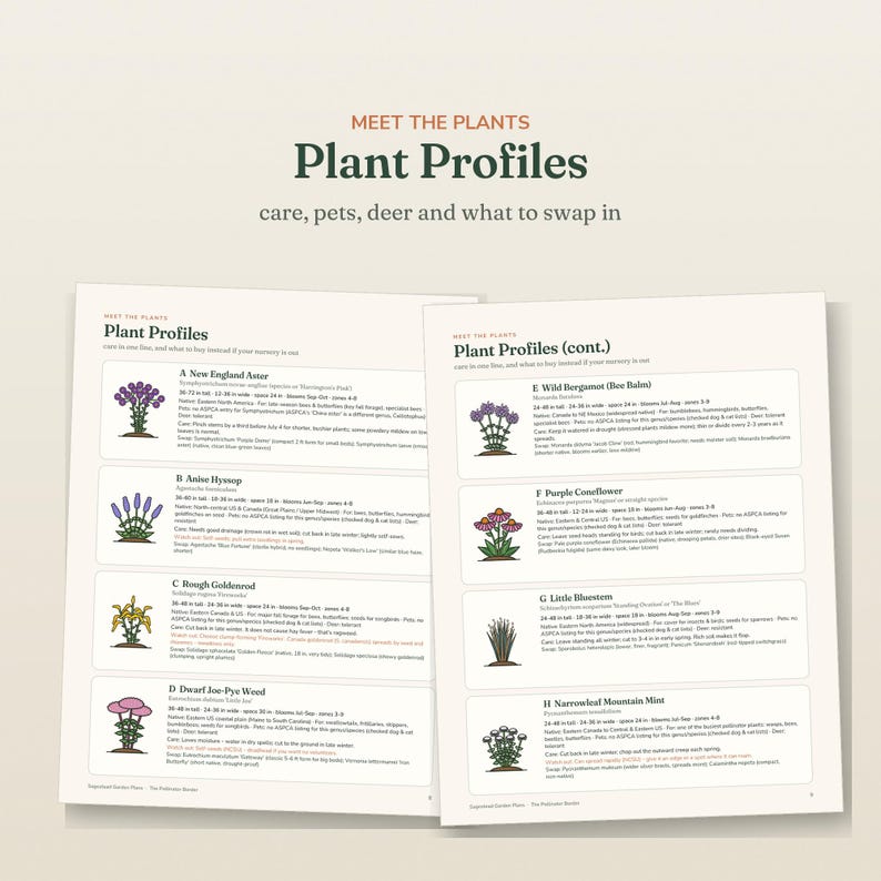 May include: Two pages of a document titled Meet the Plants Plant Profiles, care, pets, deer and what to swap in. The pages list eight plant profiles labeled A through H, each featuring a small color illustration of the plant and text details.