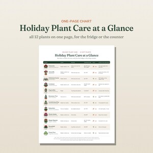 May include: A white informational chart titled Holiday Plant Care at a Glance, featuring a table with 12 rows of plant illustrations, names, and care instructions including light, water, temperature, pet safety, and post-holiday care requirements.
