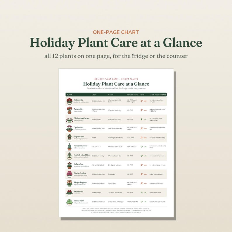 May include: A white informational chart titled Holiday Plant Care at a Glance, featuring a table with 12 rows of plant illustrations, names, and care instructions including light, water, temperature, pet safety, and post-holiday care requirements.