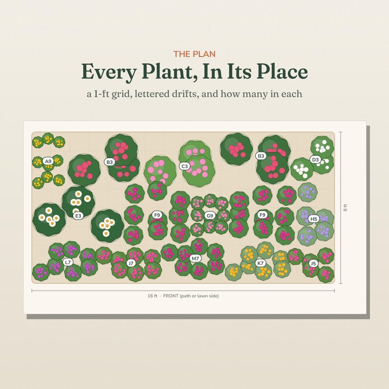 May include: A garden layout plan titled The Plan Every Plant, In Its Place, a 1-ft grid, lettered drifts, and how many in each. The rectangular diagram measures 16 ft by 8 ft and features various green plant icons with colored flowers.
