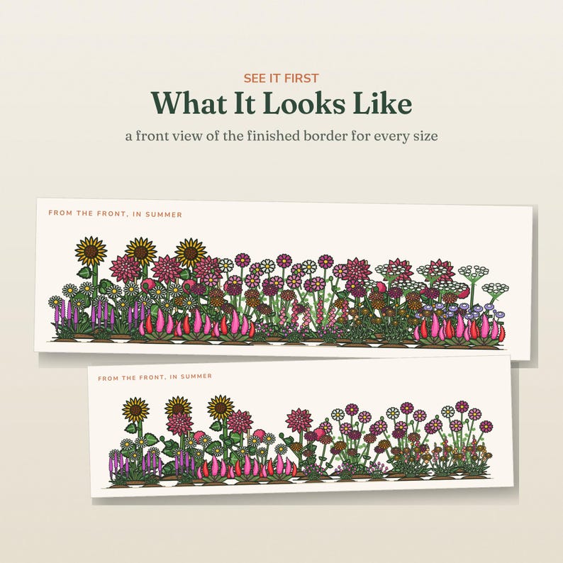 May include: Two rectangular illustrations showing a garden border from the front in summer. Text reads: SEE IT FIRST, What It Looks Like, a front view of the finished border for every size, and FROM THE FRONT, IN SUMMER. Features colorful flowers.