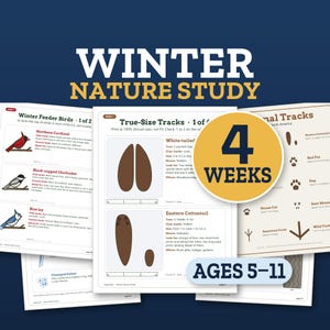 K&ouml;nnte beinhalten: Ein Winter Nature Study Lernpaket mit mehreren Seiten, die Illustrationen von V&ouml;geln, Tierspuren und Naturfakten zeigen. Der Text enth&auml;lt Winter Nature Study, 4 Weeks, Ages 5-11, True-Size Tracks und Winter Feeder Birds.