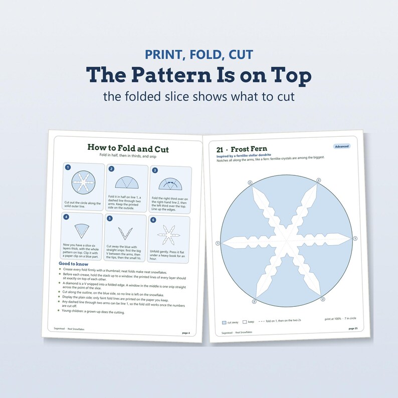 May include: A two-page instructional guide for paper snowflake crafting. The left page details folding and cutting steps with diagrams. The right page features a circular Frost Fern pattern template with blue shading and white cut-out lines.