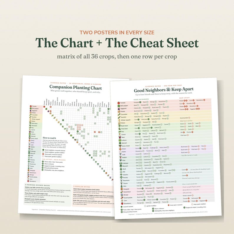 May include: Two white posters titled The Chart + The Cheat Sheet. The left poster is a Companion Planting Chart with a grid of 36 crops. The right poster is a Good Neighbors & Keep Apart list with color-coded rows for each crop and plant icons.