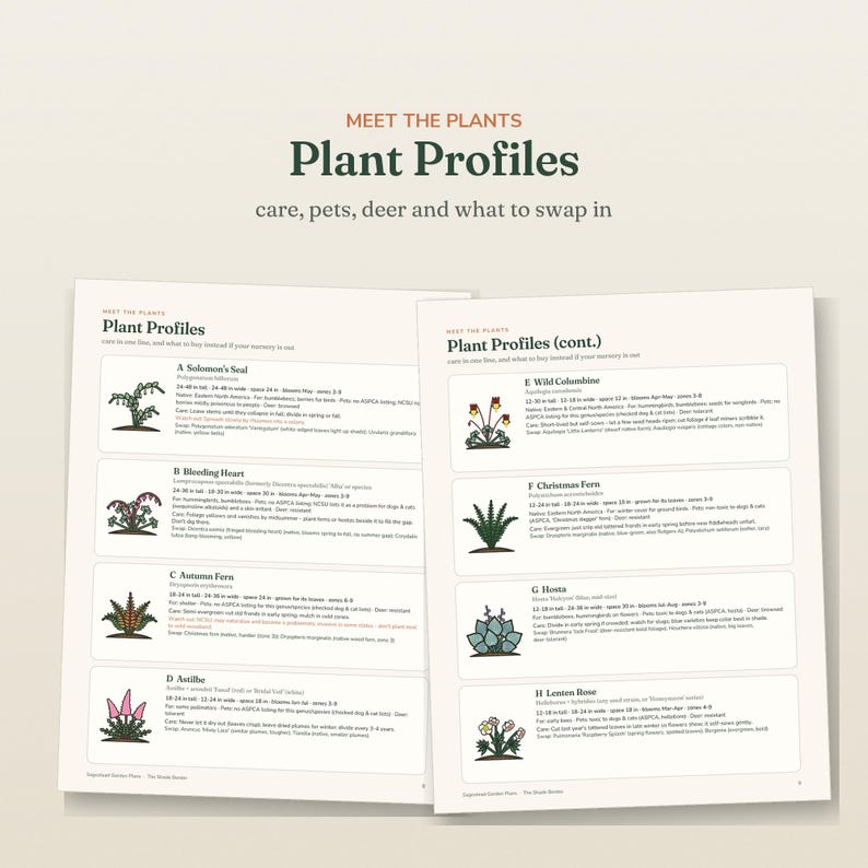 May include: Two pages of a gardening guide titled Plant Profiles, featuring illustrations of Solomon's Seal, Bleeding Heart, Autumn Fern, Astilbe, Wild Columbine, Christmas Fern, Hosta, and Lenten Rose with detailed care information and plant facts.