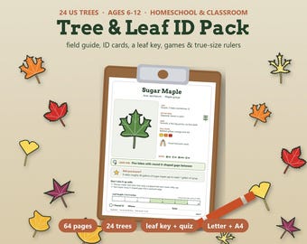 Tree Identification for Kids, Leaf Identification Cards, 24 US Trees Field Guide, Homeschool Nature Study, Fall Leaf Activity Printable