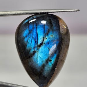 May include: A teardrop-shaped labradorite gemstone featuring a polished surface with a vibrant blue iridescent flash across the center, contrasted by dark grey and brown natural stone inclusions along the edges, held by metal tweezers.