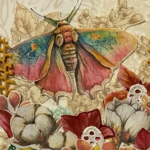 May include: A collage featuring a colorful moth with pink, blue, and yellow wings, set against a backdrop of floral and leaf cutouts. The artwork includes various flowers in shades of red, orange, and yellow.