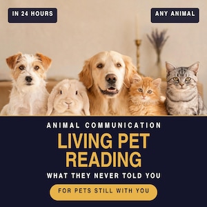 Puede incluir: Un gráfico digital con un perro, un conejo, un golden retriever, un gatito naranja y un gato atigrado. El texto dice: IN 24 HOURS, ANY ANIMAL, ANIMAL COMMUNICATION, LIVING PET READING, WHAT THEY NEVER TOLD YOU, FOR PETS STILL WITH YOU.