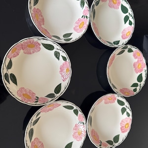 Villeroy boch wild rose - Etsy 日本