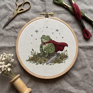 Kit de bordado de caballero rana y espada para principiantes, arte fantástico para hacer tú mismo, decoración caprichosa con patrón preimpreso y todos los materiales incluidos.