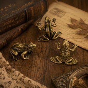 Handmade Brass Frog Cabinet Pull, Unique Toad Drawer Knob, Luxury Animal Wardrobe Handle, Decorative Vintage Hardware for Wine Cabinet