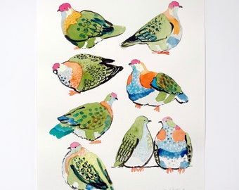 SALE! - Superb Fruit Doves