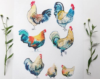 Roosters Art Print