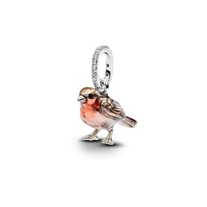 Può includere: Un charm in argento a forma di piccolo uccellino con il petto color arancio rossastro e ali dai toni marroni. Il charm presenta un occhiello circolare sulla parte superiore, incastonato con piccole pietre chiare e scintillanti.