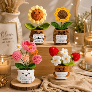 Gehäkelter Blumentopf mit niedlichem Gesicht, handgefertigte Amigurumi-Pflanze, Kawaii-Pilz, Sonnenblume, Lavendel, Gänseblümchen, Schreibtischdeko, Geschenk für Lehrer, kein Gießen erforderlich