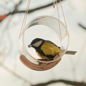 May include: A small yellow and black bird, a chickadee, is perched on a clear plastic bird feeder. The feeder is suspended from a string and has a round opening. The bird is eating seeds from the feeder.