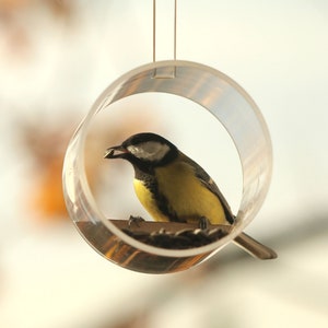Vogels kijken, Vogelvoeder Hangend, Wake Up Bird, Window Bird Feeder, Vogelliefhebber cadeau, Glazen vogelvoeder, Early Bird Gift, Nieuwjaarscadeau,