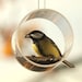 see more listings in the Window Bird Feeder section