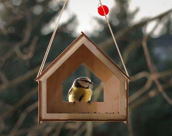 Window Bird Feeder, DIY Bird Feeder, Bird Wood House, Kids DIY, Hanging Bird Feeder, Wood Bird feeder, Bird house, Bird watching, Birding,