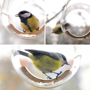 May include: A clear plastic bird feeder with a brown wooden perch. A small yellow and black bird is perched on the perch, eating seeds.