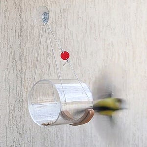 May include: A clear acrylic bird feeder with a wooden perch hangs from a suction cup on a wall. The feeder is suspended by strings with a red circle attached to one of the strings. A bird is flying towards the feeder.