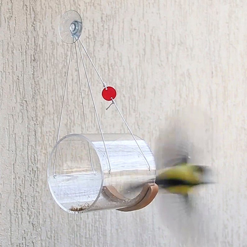 May include: A clear acrylic bird feeder with a wooden perch hangs from a suction cup on a wall. The feeder is suspended by strings with a red circle attached to one of the strings. A bird is flying towards the feeder.