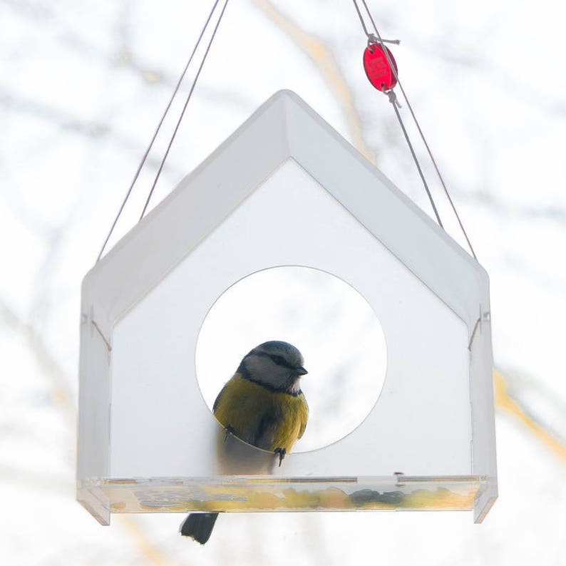 Early Bird Gift, Hanging Bird Feeder, Window Bird Feeder, House, Bird lover gift, Bird watching, Modern bird feeder, Morning Bird, Clear, image 5