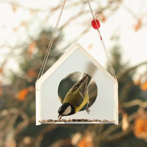Modern Bird Feeder, Hanging Bird Feeder, Window Bird Feeder, New Year Gift, Acrylic, Bird house, Bird watching, Small birds, image 1