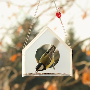 Modern Bird Feeder, Hanging Bird Feeder, Window Bird Feeder, New Year Gift, Acrylic, Bird house, Bird watching, Small birds, image 1