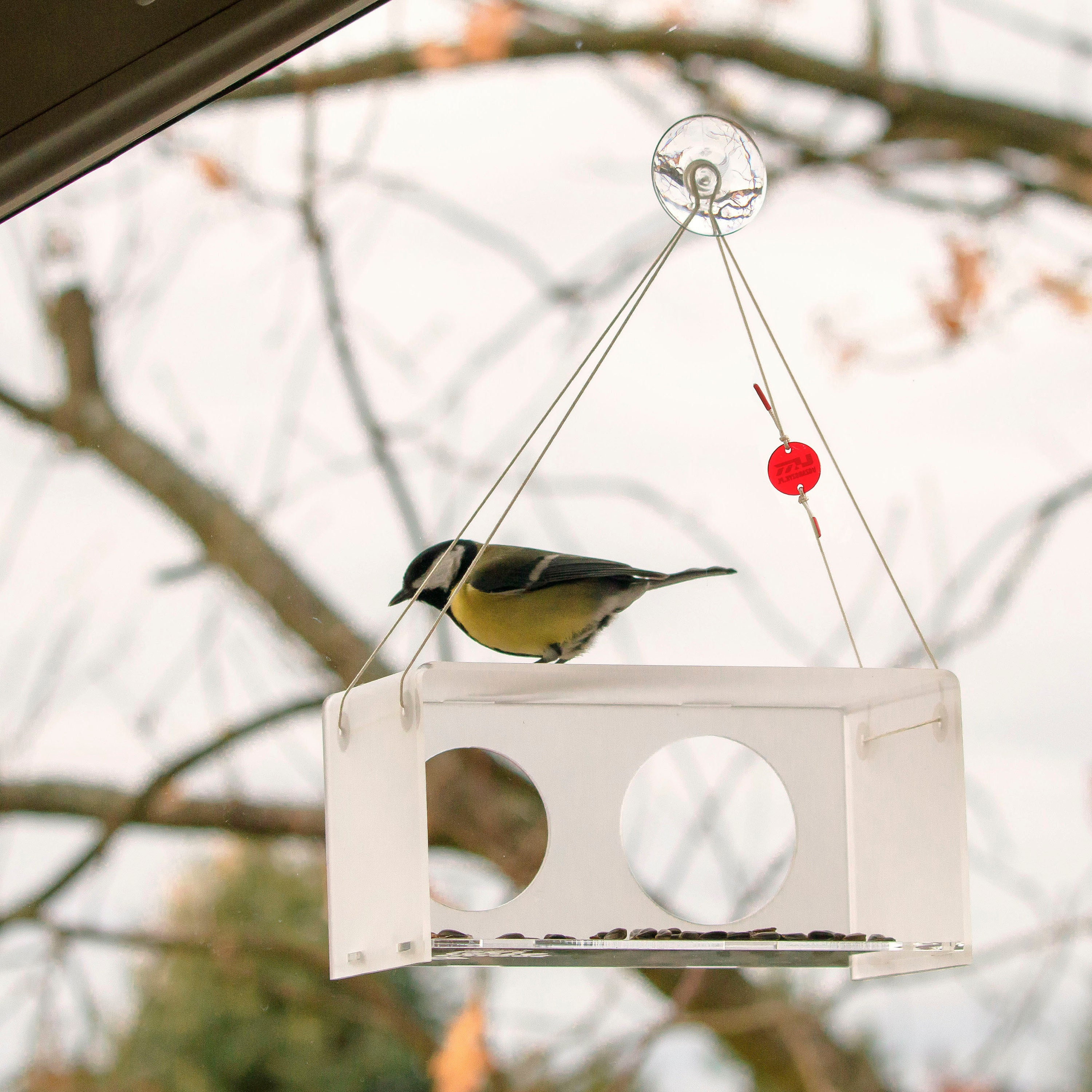 Cadeau de réveil, Mangeoire à oiseaux à fenêtre suspendue, Cadeau