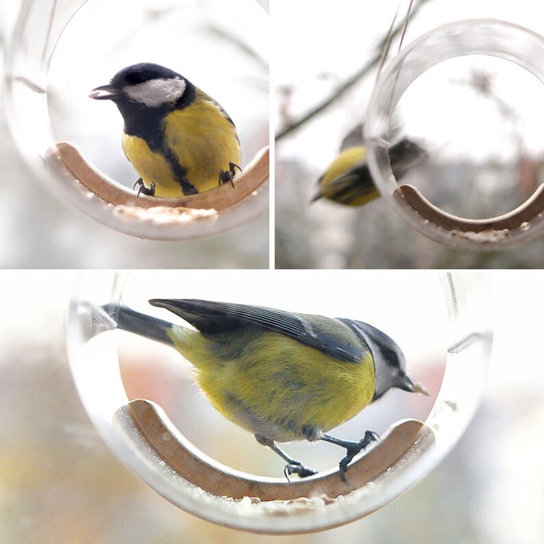 May include: A clear plastic bird feeder with a brown wooden perch. A small yellow and black bird is perched on the perch, eating seeds.