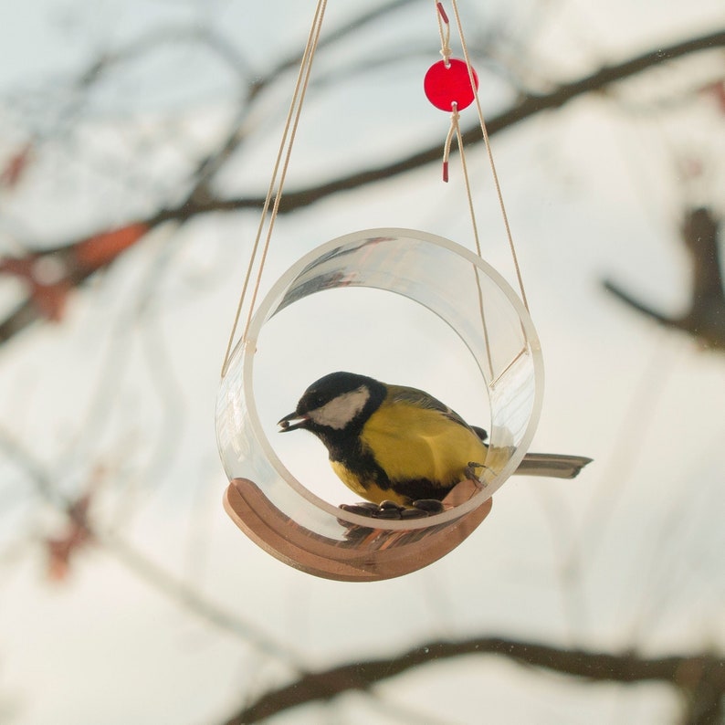 May include: A small yellow and black bird, a chickadee, is perched on a clear plastic bird feeder. The feeder is suspended from a string and has a round opening. The bird is eating seeds from the feeder.