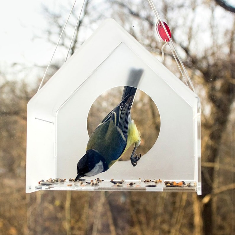 Modern Bird Feeder, Hanging Bird Feeder, Window Bird Feeder, New Year Gift, Acrylic, Bird house, Bird watching, Small birds, image 3