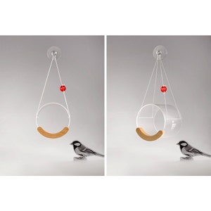 May include: A clear acrylic bird feeder with a wooden perch hangs from a suction cup. A small bird is perched on the perch. The feeder has a red ball hanging from it.