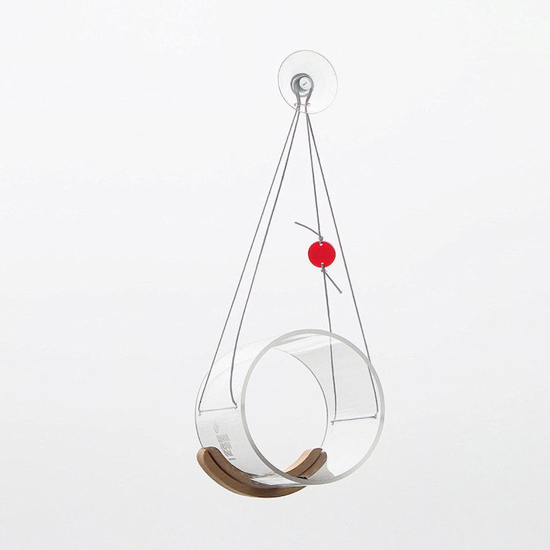 May include: A clear acrylic bird feeder with a wooden swing, hanging from a suction cup on a white background. A red bead is attached to the string.