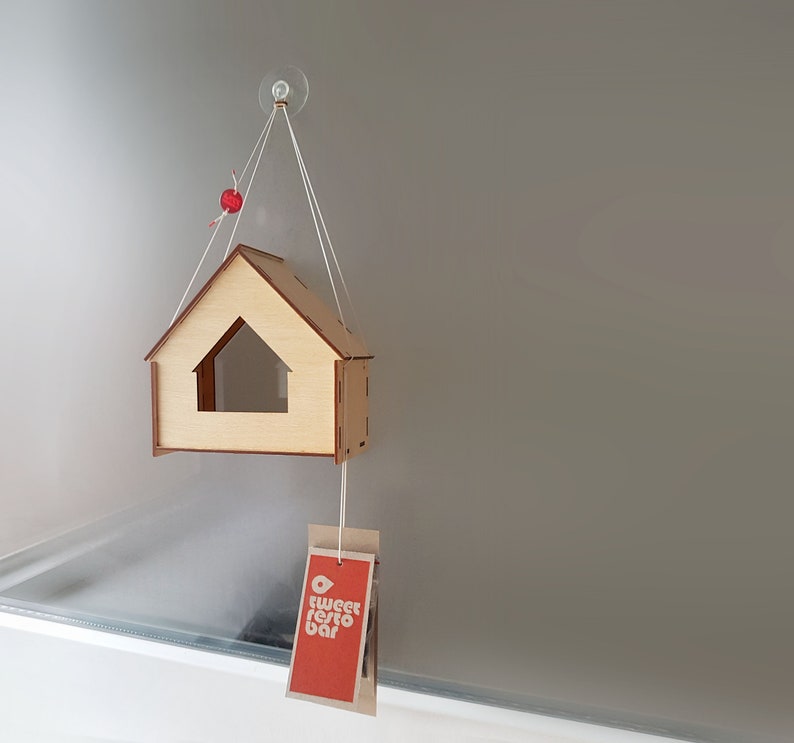 Window Bird Feeder, DIY Bird Feeder, Bird Wood House, Kids DIY, Hanging Bird Feeder, Wood Bird feeder, Bird house, Bird watching, Birding, image 10